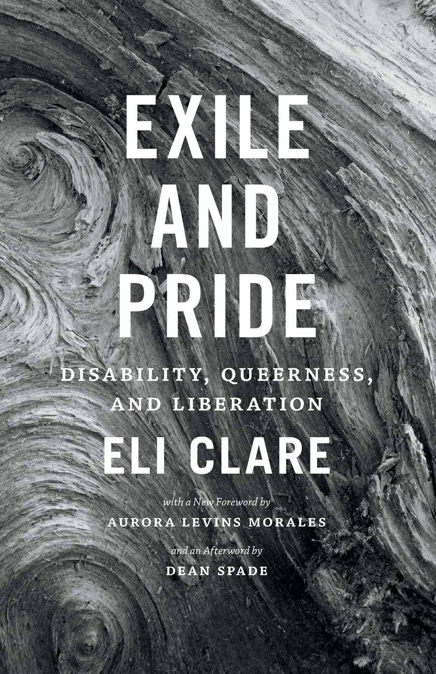 "Exile and pride" book cover featuring a close up black and white photo of a piece of wood.